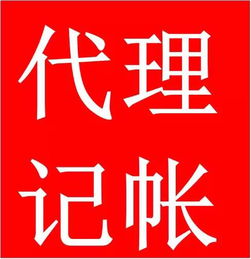 厦门财务代理服务全解析 高效代办，助力企业发展